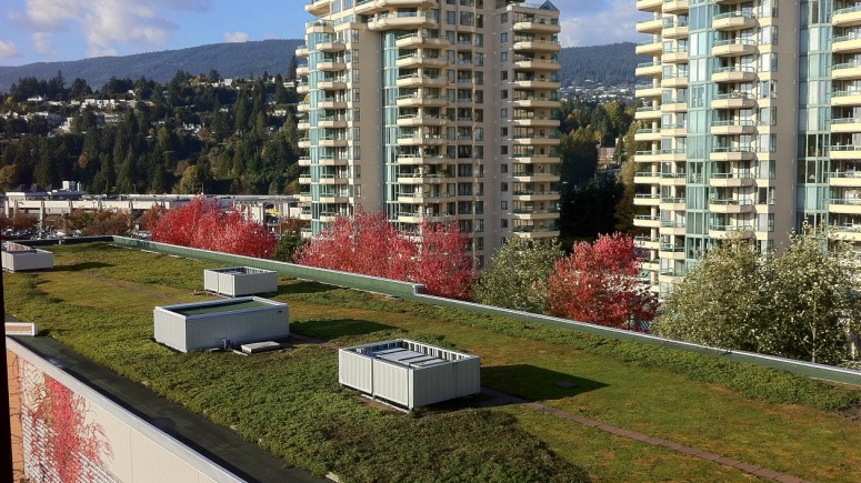 Self Storage West Vancouver Green Roof