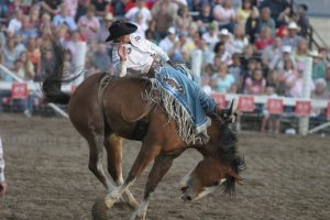 The Best Calgary Stampede Event Roundup